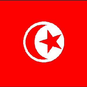 tunisia_flag- crop
